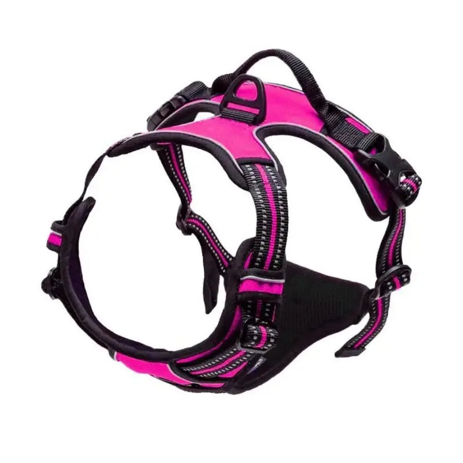 Dog Collars Harness . Très confortable pour votre animal de compagnie
