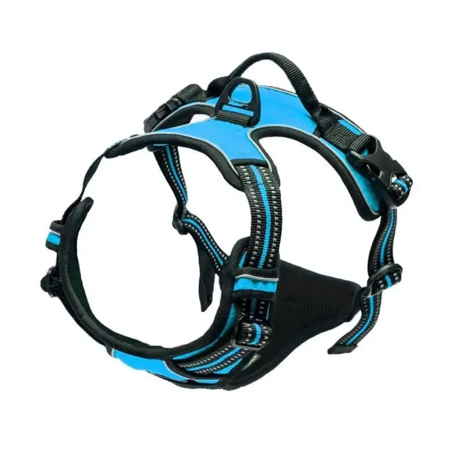 Dog Collars Harness . Très confortable pour votre animal de compagnie