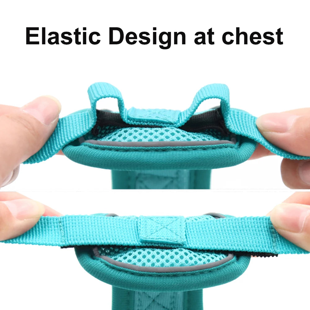 Harnais pour animaux de compagnie