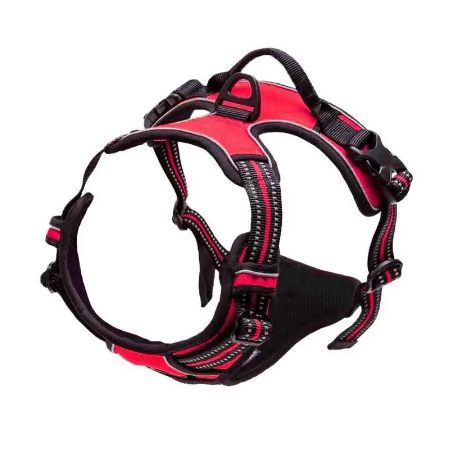 Dog Collars Harness . Très confortable pour votre animal de compagnie