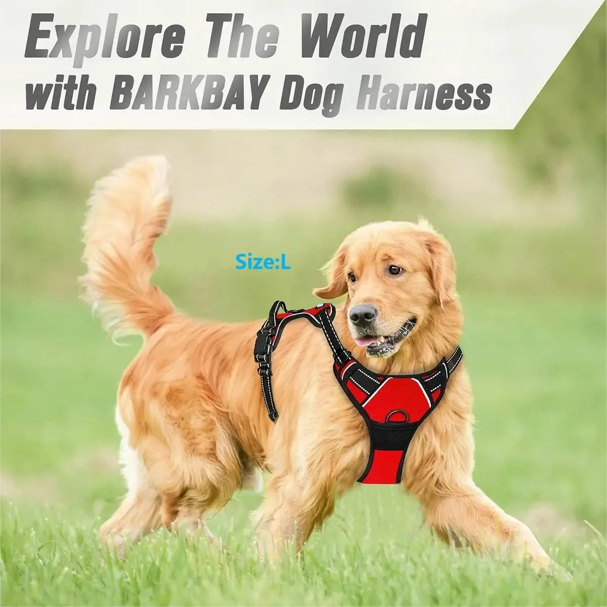 Dog Collars Harness . Très confortable pour votre animal de compagnie