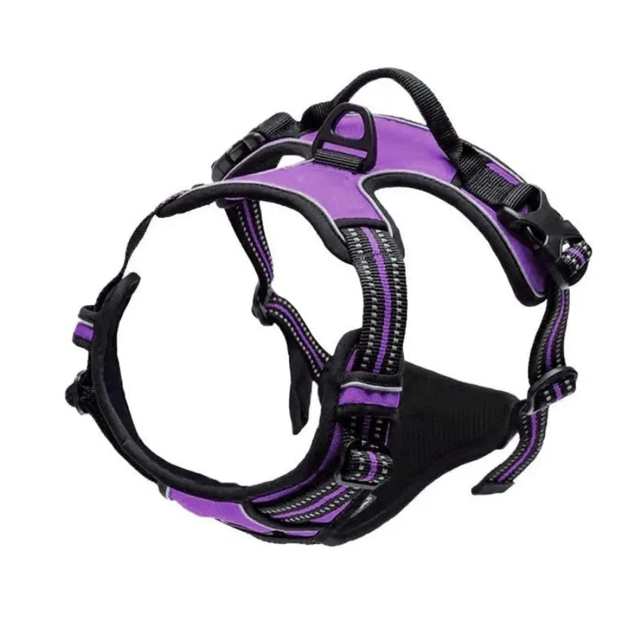 Dog Collars Harness . Très confortable pour votre animal de compagnie
