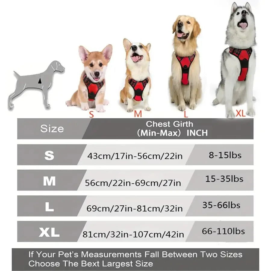 Dog Collars Harness . Très confortable pour votre animal de compagnie