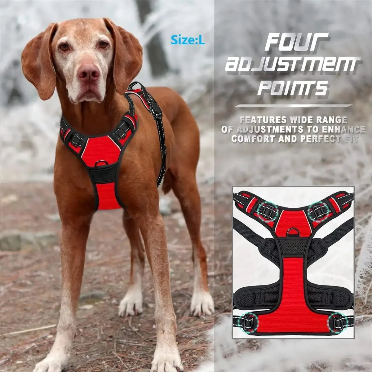Dog Collars Harness . Très confortable pour votre animal de compagnie