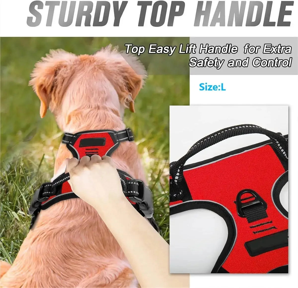 Dog Collars Harness . Très confortable pour votre animal de compagnie